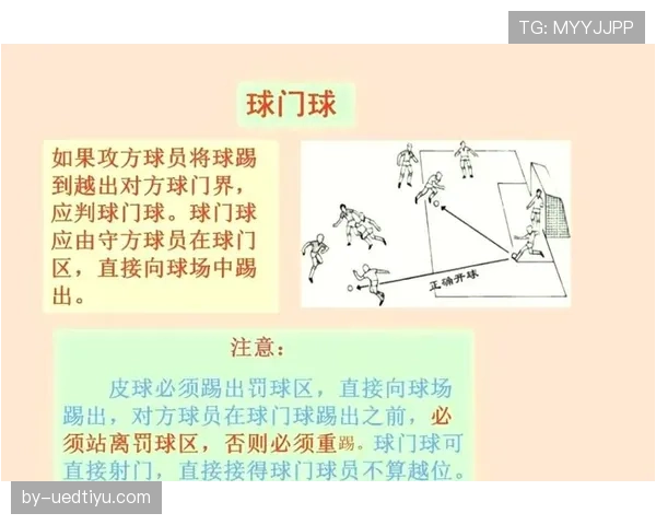 球门球规则详解：判罚标准与执行细节全解析